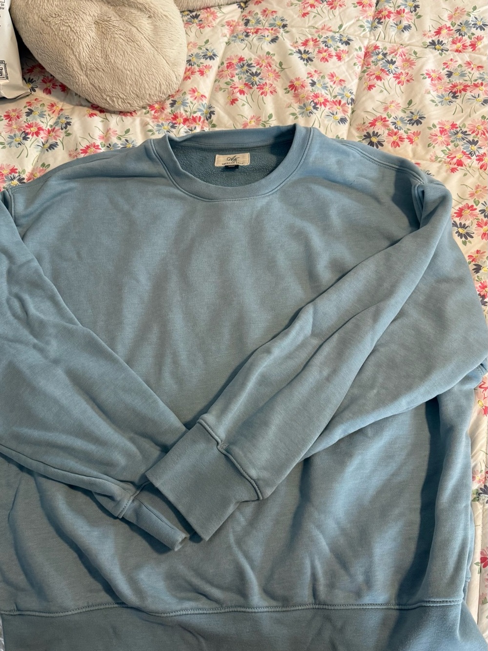 American Eagle Outfitters Light Blue Crewneck Sweater